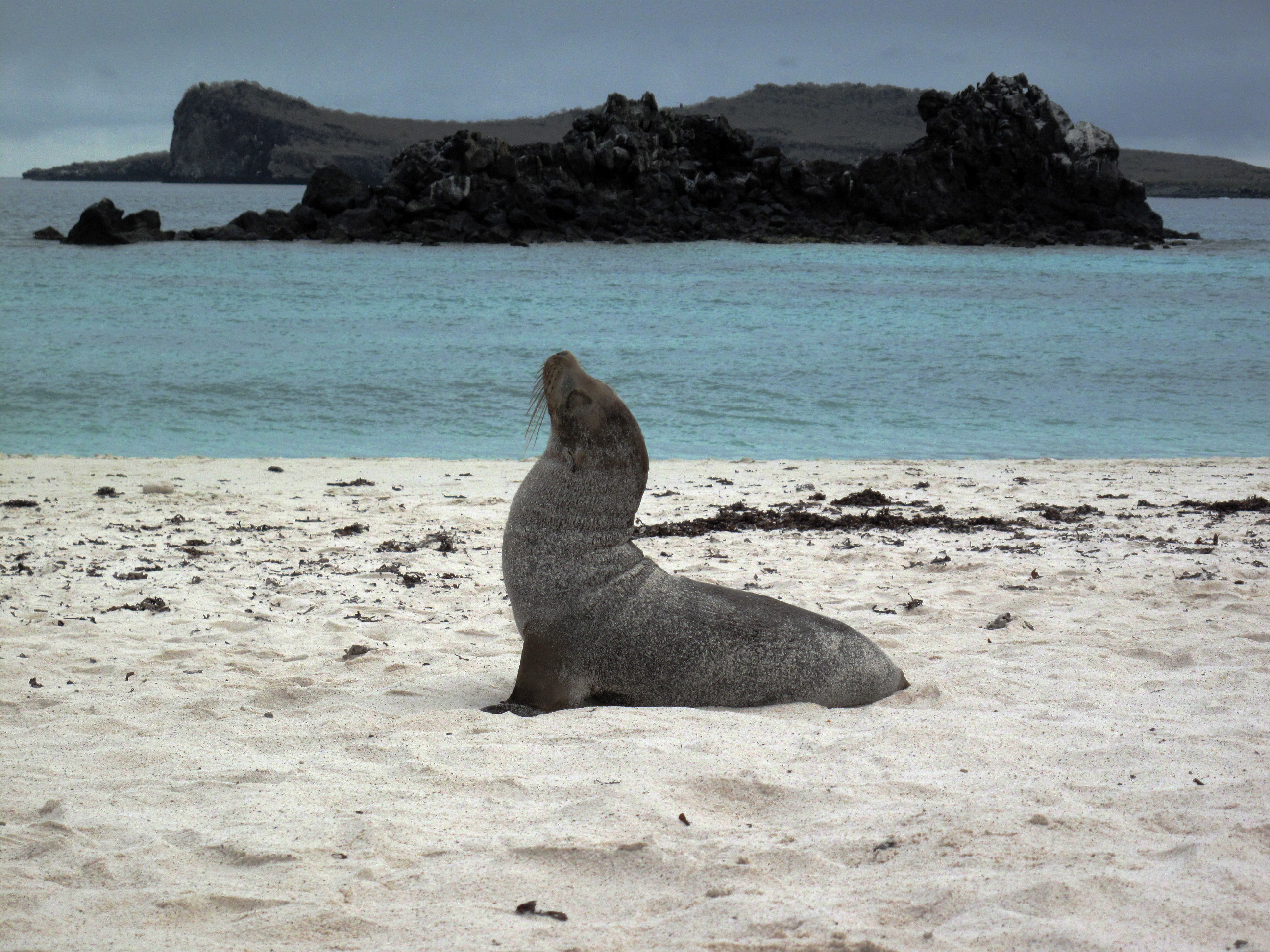Îles Galápagos (photo: croisiere-voyage.ca 